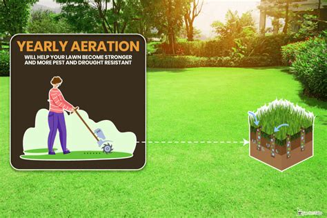 Aerator Not Pulling Plugs