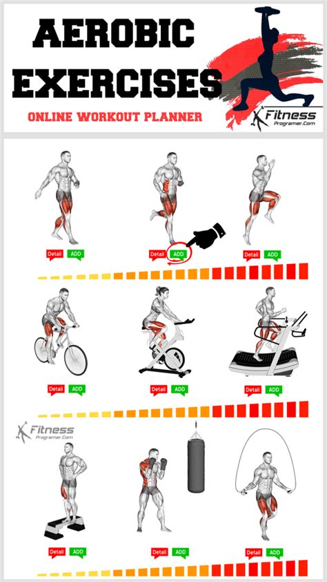 Aerobic Exercise Program Example