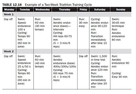 The Aerobic Training Program Example For Advanced Weight Training