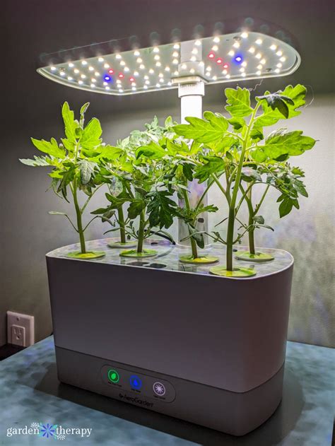 Large Aerogarden BarbaraBeets