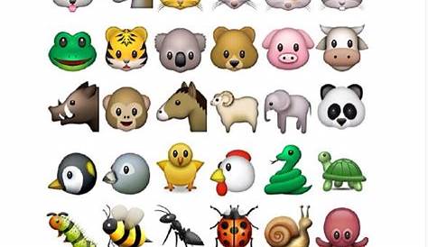 Cute Animal Emoji by David Calabro