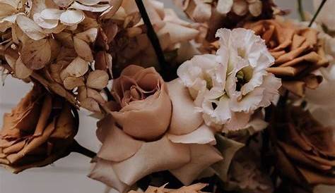 Fall Home Decor in 2020 Flower aesthetic, Pretty flowers, Plants