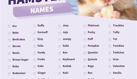 What animal are you? Funny hamsters, Cute hamsters, Hamster breeds