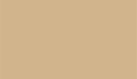 Image result for brown aesthetic Brown aesthetic, Aesthetic colors