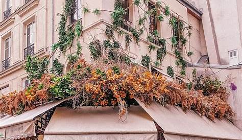 Charming Café Clemenceau in Antibes, the French Riviera pinterest