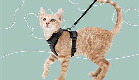 Dapper Cat Vest Harness w/ Bowtie Catitude