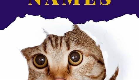 60 Top Photos Literary Cat Names Reddit Kmf4ssbgbghnbm writerjennh