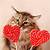aesthetic cat valentine