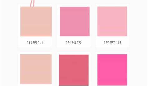 My Aesthetic Color Palette