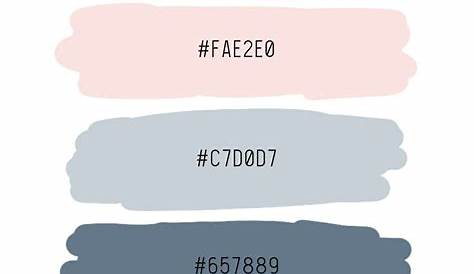 café stationery on Behance in 2020 Hex color palette, Color palette