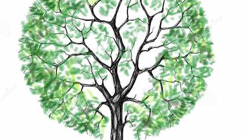 30 Beautiful Tree Drawings and creative Art Ideas from top artists