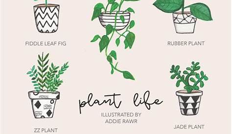 Modern minimalist line drawing plant print, botanical poster