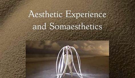 Aesthetic Experience by Richard Shusterman (English) Paperback Book