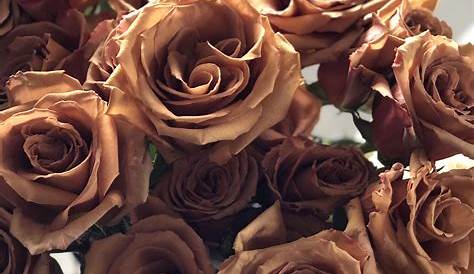 Pin by Marla Wilson on A World full of Color Brown flowers, Brown