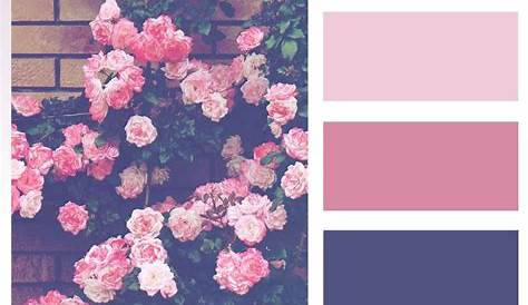 Color Palette ideas from 9097 Flower Images iColorpalette Color