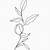 aesthetic flower outline png