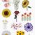 aesthetic flower stickers printable