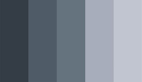 Gray Staging Color Palette in 2020 Grey color palette, Grey color