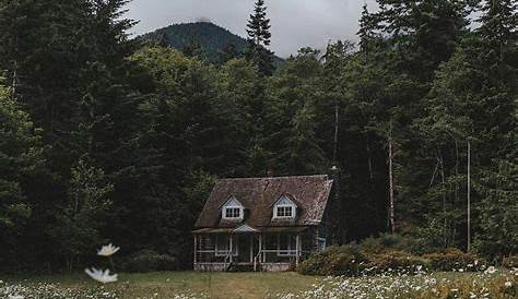 cabin hermit aesthetic Google Search Primitive houses, Forest cabin
