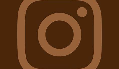 Brown instagram, instagram, instagram logo, selfie icon