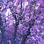 aesthetic lilac desktop wallpaper