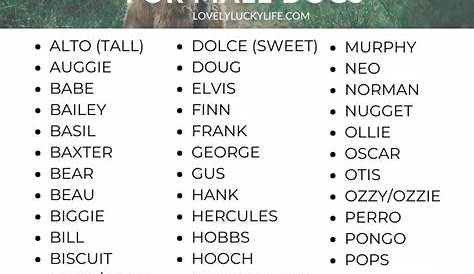 Cool Dog Names 300 Awesome Puppy Name Ideas Funny dog names, Best
