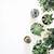 aesthetic minimalist plant desktop wallpaper