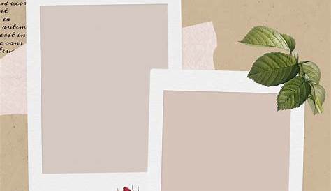 Aesthetic Frame Images | Free Vectors, PNGs, Mockups & Backgrounds