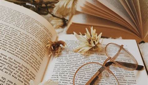 pinterest AWIPmegan Book aesthetic, Book photography, What book