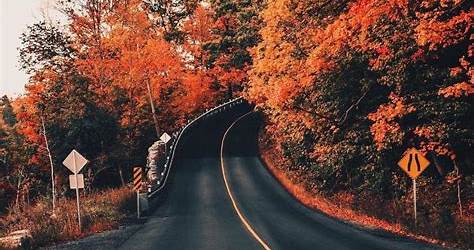 Aesthetic Pictures Road