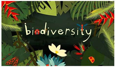 Biodiversity (Earth Matters unit) Population Education