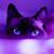 aesthetic purple cat