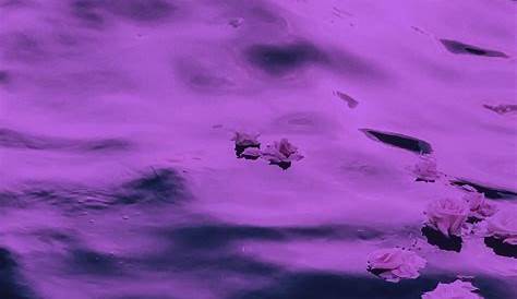 Pin by Chloe Naylor on glow purple Dark purple aesthetic, Purple