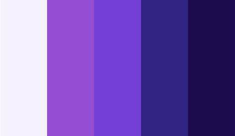 √ Purple Code Color