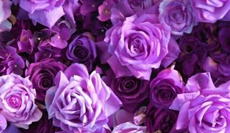 Aesthetic Transparent Purple Roses Png Aesthetic Transparent