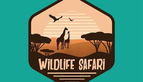 Aesthetic Safari Icon in 2021 App icon, Beige icons, Aesthetic safari