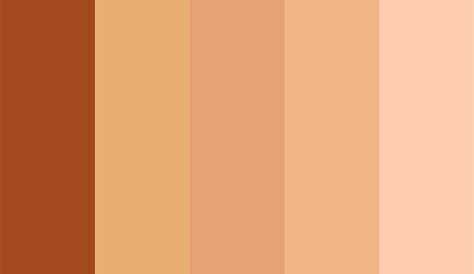 Brown Skins Color Palette Skin color palette, Skin palette, Skin