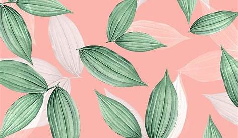 Pink and green aesthetic wallpaper | Pink wallpaper iphone, Aesthetic