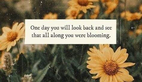Pin by hailey olivia on yellow Flower quotes love, Yellow quotes