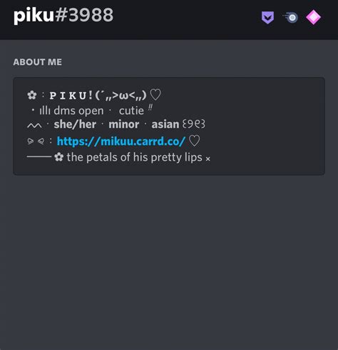 aesthetic about me template for discord theme
