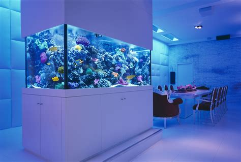 Aesthetic Appeal of Saltwater Fish Tanks