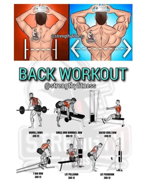 Aesthetic Back Exercises