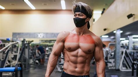 Aesthetic Chest Exercises