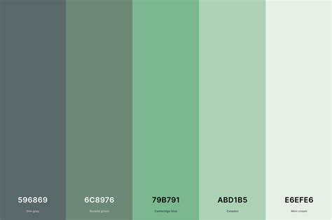 Aesthetic Green Color Codes