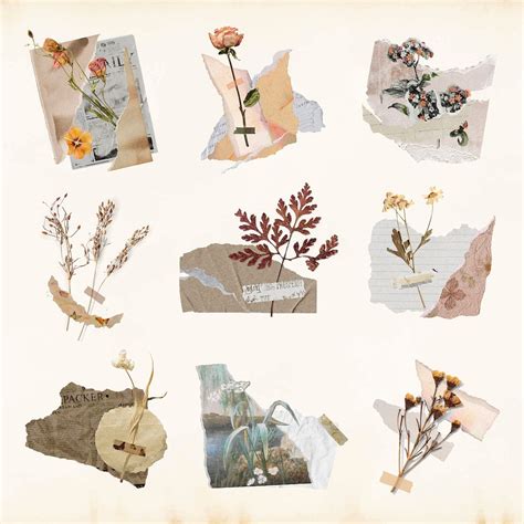 Aesthetic Paper Collage Journal Collage Art: A Creative Journey for Beginners and Artists