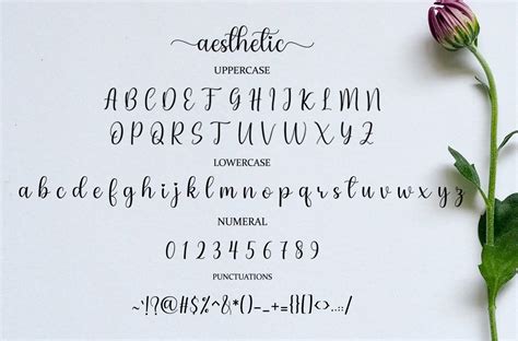 Discover the Beauty of Aesthetic Script Font: Download Now for Your Creative Projects