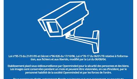 Affiche Videosurveillance Pdf Signal D'information ETABLISSEMENT Sous VIDEOSURVEILLANCE
