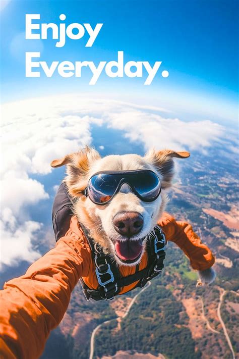 Affiche Projets I Affiche drole Boniday