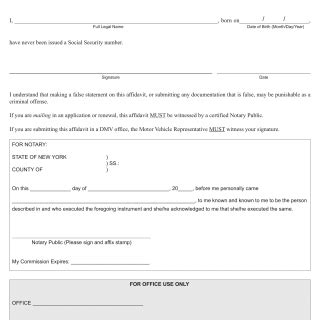 affidavit no social security number dmv