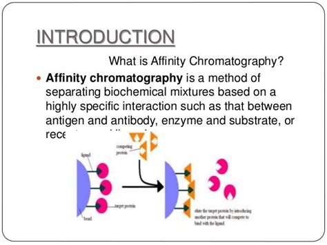 affinity chromatography definition